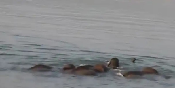 Screenshot_20251219-211420