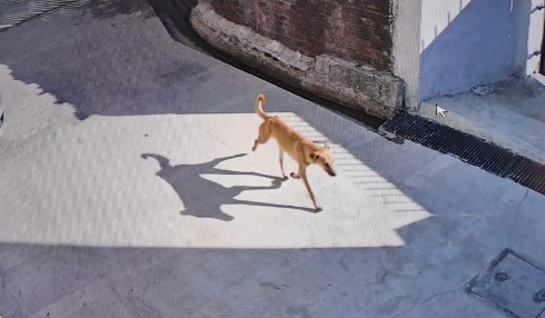 Screenshot_20260129-103330~2