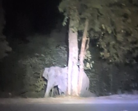 Screenshot_20260301-225804