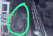 हल्द्वानी में यहां बाघ का आतंक, देखें वीडियो केसे जर्मन शेफर्ड पर किया हमला