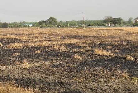 Screenshot_20260412-121455