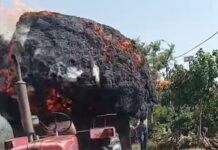 गौलापार में गेहूं से लदी ट्रैक्टर ट्राली में लगी आग, देखें वीडियो