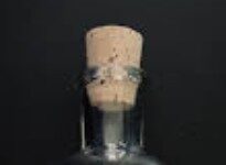 युवक के जहर खाकर जान देने के मामले में पुलिस कर्मियों पर अभद्रता और मारपीट का आरोप, परिजन कार्रवाई के बाद ही शव उठाने पर अड़े, देखें वीडियो