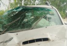 सड़क हादसे में नई कार खरीद कर घर जा रहे शिक्षक समेत दो की मौत
