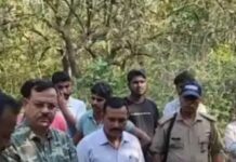 टांडा जंगल में हाथी ने महिला को पटक-पटक मार डाला