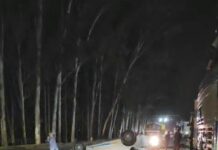 टांडा जंगल में पलटी स्विफ्ट डिजायर, हाइवे पर लगी भीड़, देखें वीडियो