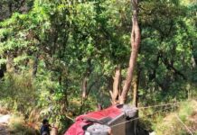 कार खाई में गिरने से एक ही परिवार के चार लोगों समेत पांच की मौत