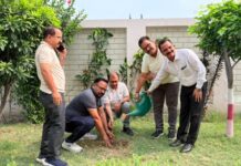 पर्यावरण संरक्षण का दिया संदेश, विद्यालयों में हुआ पौधारोपण