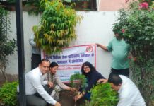 पर्यावरण दिवस पर जिला सैनिक कल्याण कार्यालय परिसर में पौधरोपण किया