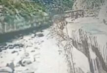 पुल टूटा, ट्रक समेत नदी में गिरा, देखें वीडियो