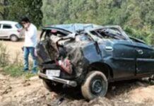 लमगड़ा में कार खाई में गिरने से चार की मौत