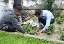 हर्षोल्लास से मनाया हरेला पर्व, कुमाऊं कमिश्नर ने नैनीताल में एक पेड़ मां के नाम अभियान के अंतर्गत पौधारोपण किया