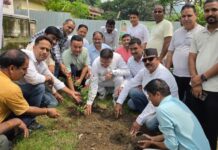 हरेला त्योहार पर मेयर और नगर आयुक्त ने रानीबाग चित्रशिला घाट में किया पौधरोपण