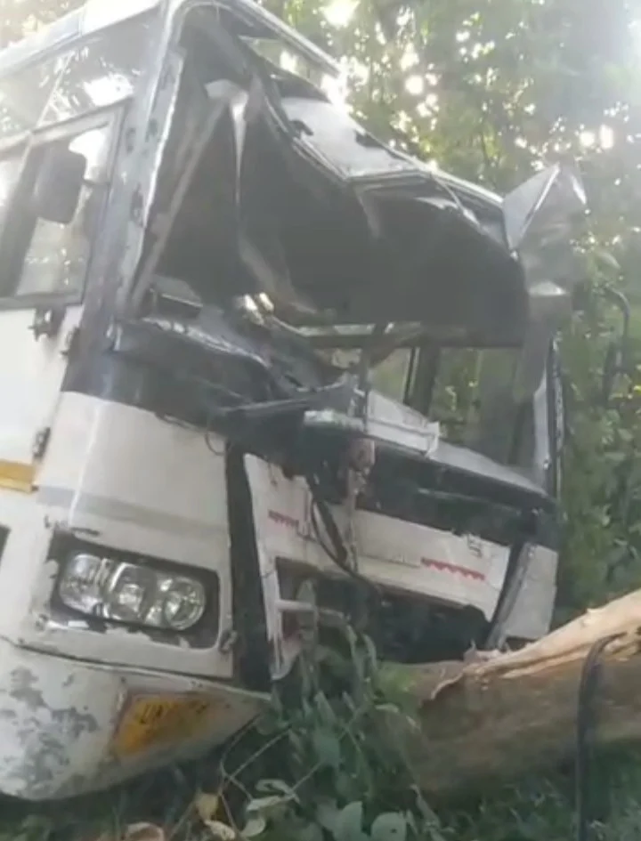 हाइवे पर नील गाय आने से रोडवेज बस पेड़ से टकराई, चालक-परिचालक समेत यात्री जख्मी, देखें वीडियो